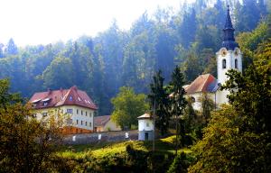 Plemiške rodbine na grajskem obzidju